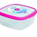 SQUARE CONTAINER blue, fuchsia, green CM.20X20XH.12L3,2