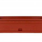 Box c/saucer Bell